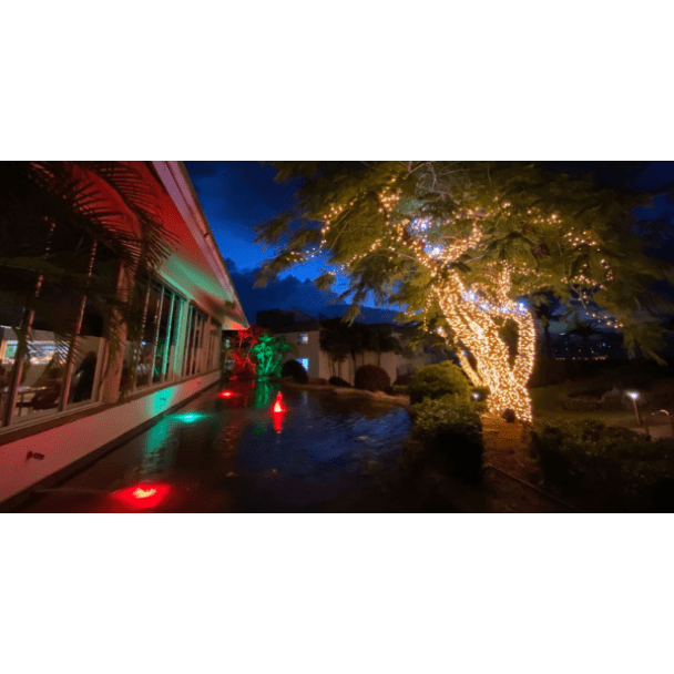 Festoon light and fairy lights