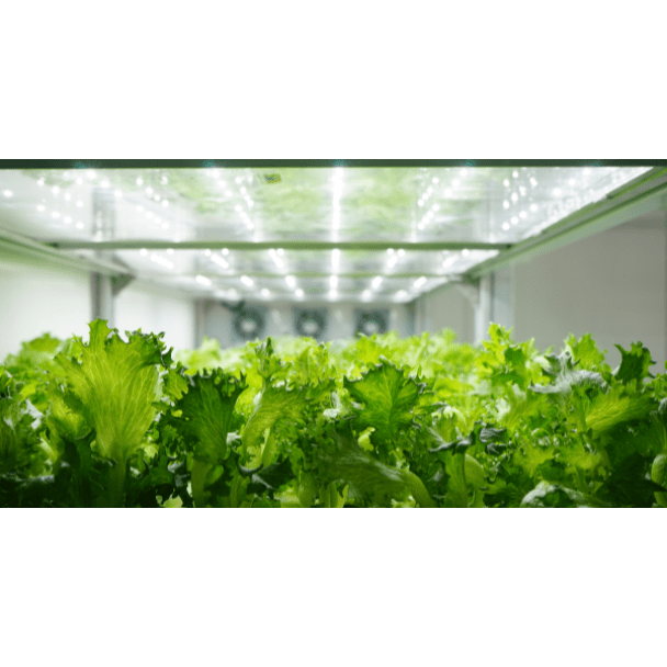 High Power Output Power Supply for LED Applications