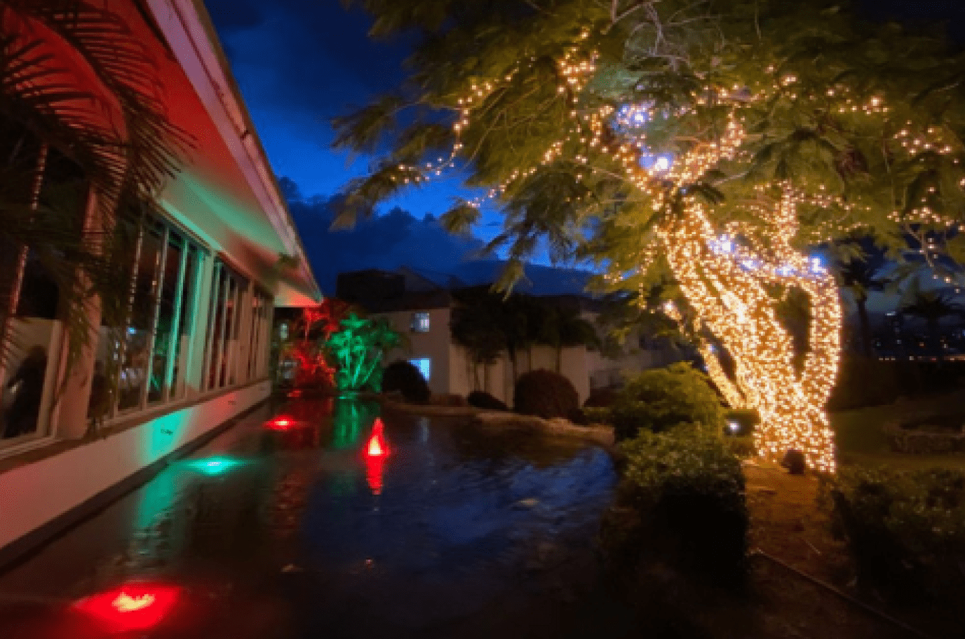 Festoon light and fairy lights