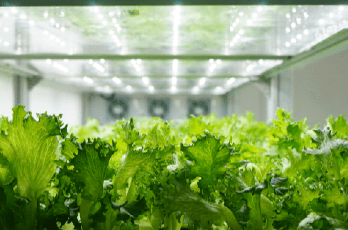 High Power Output Power Supply for LED Applications